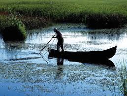 nice things  - imagescaydpacj.jpg